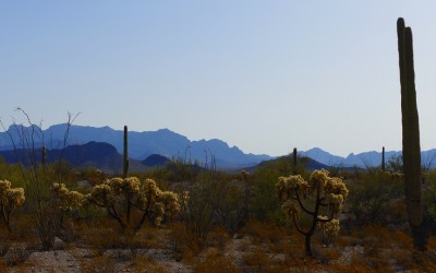 Desert3.jpg