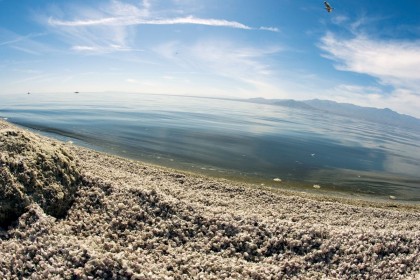 Salton Sea, Ca