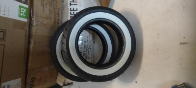 IMG_20231109_105515229.jpg